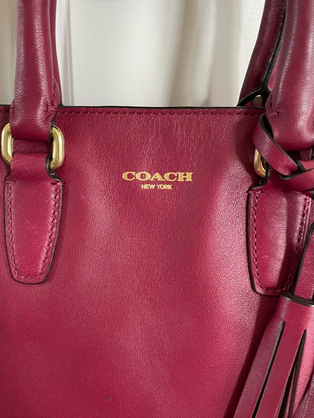 COACH Mini Tanner Leather Bag